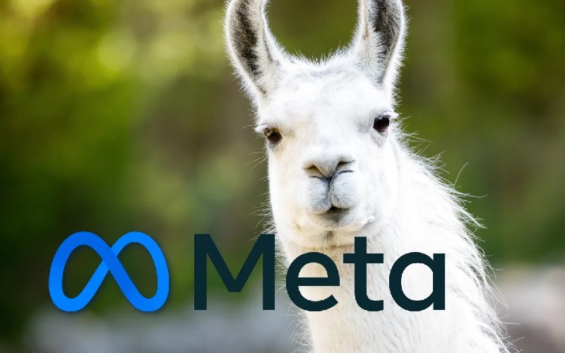 Meta Wants to Make AI “Moatless"