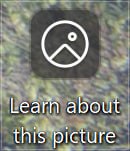 Windows 开启 Windows spotlight 桌面壁纸之后，桌面会出现一个 Learn about this picture 图标，无法隐藏