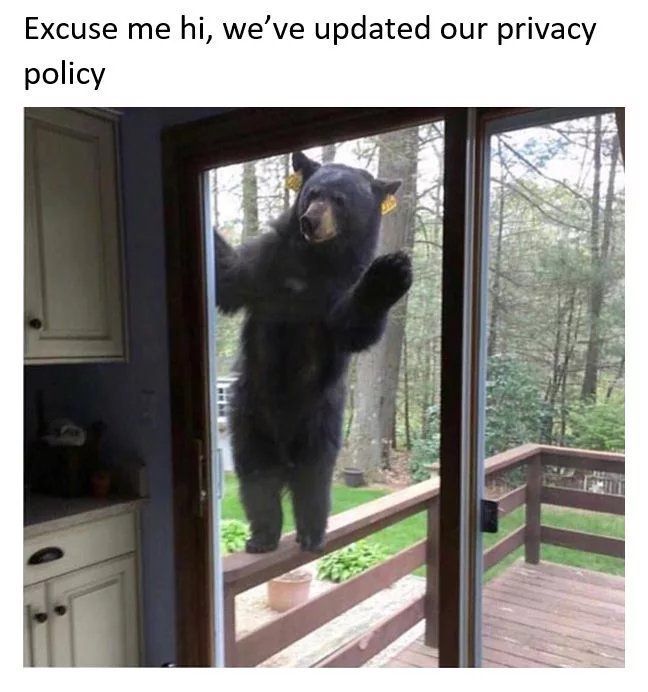 打扰一下 我们更新了我们的隐私政策 via @BlackSheepX #GDPR #spam #pic